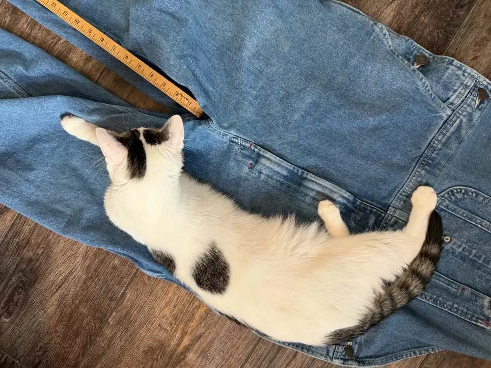 Dickies stonewashed indigo